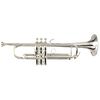 B&S 3172/2GLBRT-S Bb-Trumpet