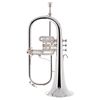 B&S 3146/2-S Brochon