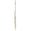 Altus 907 ERB Transverse Flute