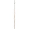 Altus 1107 ERB Transverse Flute