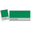 Lee Colour Filter 327 Forest Green