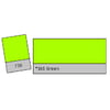 Lee Colour Filter 738 JAS Green