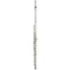Sankyo CF 401 Flute RBE