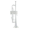 Bach 180S-37 R ML Trumpet