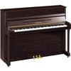 Yamaha b2 PM