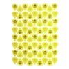 Dunlop Plectrums Tortex Sharp 0,73 72
