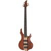 ESP LTD F-5E NS