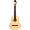 Ortega R121-NT