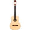 Ortega R121SN NT