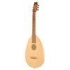 Thomann Lute Guitar