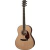 Larrivee L-03RE
