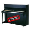 Irmler P 116 E Professional