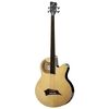 Warwick RB Alien Standard Fretless 4
