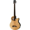 Warwick Alien Standard Fretless 5