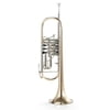 B&S 3005 WTR-L Trumpet