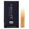Forestone Alto Saxophone XS