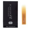 Forestone Alto Saxophone S