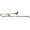 Michael Rath R4F Tenor Rotax