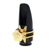 Theo Wanne Gaia III Soprano 8 HR