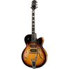 Peerless Guitars Tonemaster JH Special