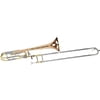 Carol Brass CTB-6219-GSS-YNNN-N3