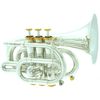 Carol Brass CPT-3000-GLS-Bb-SG