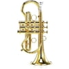 Carol Brass CCR-7775-YSS-Eb-L