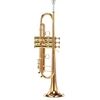 Carol Brass CTR-8880H-GST-Bb-L