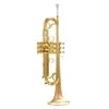 Carol Brass CTR-7000L-GLT-Bb-SL