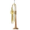 Carol Brass CTR-5060H-RSM-Bb-L