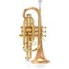 Carol Brass CCR-3880-GSS-Bb-SLB