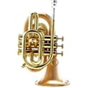 Carol Brass CPT-3000-GLS-Bb-SLB