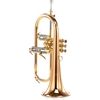 Carol Brass CFL-6200-GSS-Bb-L