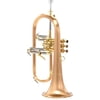 Carol Brass CFL-6200-GSS-Bb-SLB