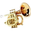 Carol Brass CPT-3000-GLS-Bb-L