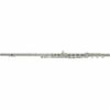Altus AS-TSERB Soprano Flute