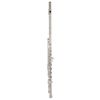 Azumi AZ-Z2RE Flute