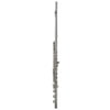 Azumi AZ-Z3RBE Flute