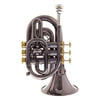 Carol Brass CPT-3000-GLS-Bb-BG Blackhawk