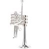 Carol Brass CPC-3335-YLS-Bb/A-S