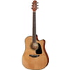 Takamine P1DC