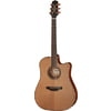 Takamine P3DC