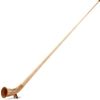 Alfons Neumann Alphorn Meisterklasse painted