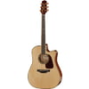 Takamine P4DC