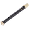 Thomann TRGK-31B Garklein Recorder