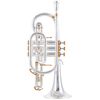 B&S 3141/2N-S Cornet Perinet