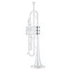 Kühnl & Hoyer Universal 110 14S Bb Trumpet