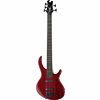 Epiphone Toby Deluxe-V Bass TR B-Stock