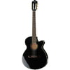 Ibanez AEG10NII-BK