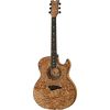 Dean Guitars Exhibition Quilt Ash A/E GN
